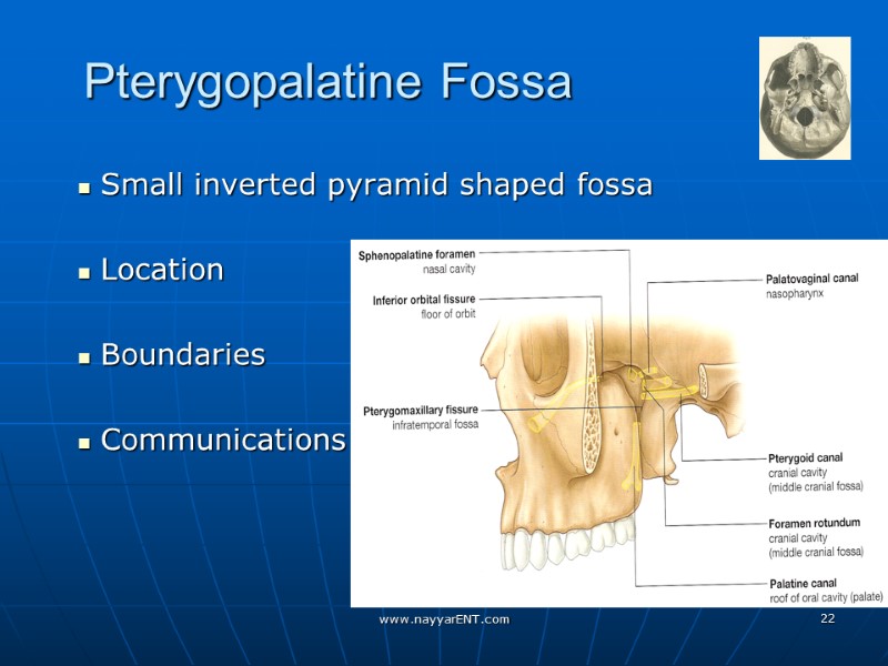 Pterygopalatine Fossa   Small inverted pyramid shaped fossa   Location  